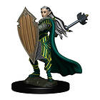 D&D Icons of the Realms Premium Figures (W4) Elf Paladin Female