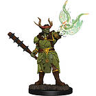 Pathfinder Battles Premium Painted Figure (W2) Half-Orc Druid Male
