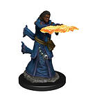 D&D Icons of the Realms Premium Figures (W4) Human Wizard Female