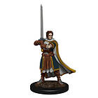D&D Icons of the Realms Premium Figures (W4) Human Cleric Male