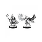 Critical Role Unpainted Miniatures (W1) Hobgoblin Wizard and Druid Male