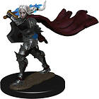 Pathfinder Battles Premium Painted Figure (W2) Elf Paladin Female