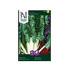 Nelson Garden Bladbete White Silver 2 Vit