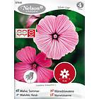 Nelson Garden Cup Rosa 87848