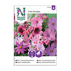Nelson Garden Sommarblommor Rosa Mix 87234