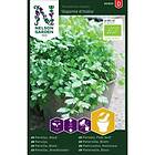 Nelson Garden Frö Bladpersille Gigan.d'Italia Organic