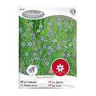 Nelson Garden blå 87743