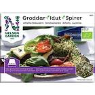 Nelson Garden Groddar Alfalfa Organic