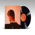 Joesef - Permanent Damage LP