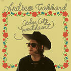 Andrew Gabbard - Cedar City Sweetheart CD