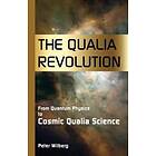 Peter Wilberg: The Qualia Revolution