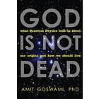 Amit Goswami: God is Not Dead