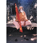 Paul Mason: Dandi Swami