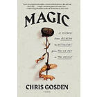 Chris Gosden: Magic: A History: From Alchemy to Witchcraft, from the Ice Age Present