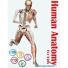 Keerthana K Madireddi: Human Anatomy for Kids