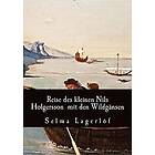 Selma Lagerlof: Reise des kleinen Nils Holgersson mit den Wildgänsen