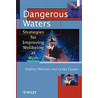 S Williams: Dangerous Waters Strategies for Improving Wellbeing at Work