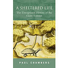 Paul Chambers: A Sheltered Life: The Unexpected History of the Giant Tortoise