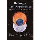 Eric A Meyers: Between Past & Presence