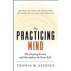 Thomas M Sterner: The Practicing Mind