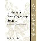 Paul Dillon: Liuhebafa Five Character Secrets