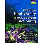 Martin Solan: Marine Biodiversity and Ecosystem Functioning
