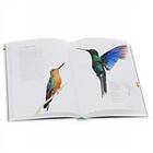 Michael Fogden, Marianne Taylor, Sheri L Williamson: Hummingbirds: A Life-Size G