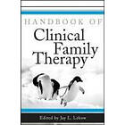 JL Lebow: Handbook of Clinical Family Therapy