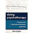 Robin Shapiro: Doing Psychotherapy