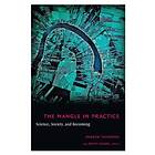 Andrew Pickering, Keith Guzik: The Mangle in Practice