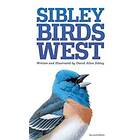 David Allen Sibley: Sibley Field Guide to Birds of Western North America