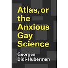 Georges Didi-Huberman, Shane B Lillis: Atlas, or the Anxious Gay Science