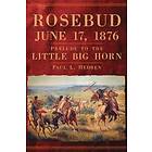 Paul L Hedren: Rosebud, June 17, 1876