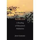 John Carriero: Between Two Worlds