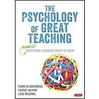 Pedro De Bruyckere: The Psychology of Great Teaching