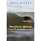 Dave Hickey: Perfect Wave More Essays on Art and Democracy