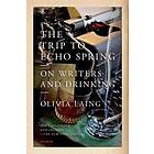 Olivia Laing: Trip to Echo Spring