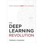 Terrence J Sejnowski: The Deep Learning Revolution