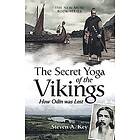 Steven a Key: The Secret Yoga of the Vikings
