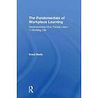 Knud Illeris: The Fundamentals of Workplace Learning