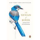 Jennifer Ackerman: Genius Of Birds