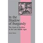 Gerard Nijsten: In the Shadow of Burgundy