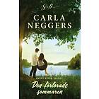 Carla Neggers: Den förlorade sommaren