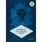 Carl Jonas Love Almqvist: Det går an (lättläst)