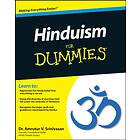 AV Srinivasan: Hinduism For Dummies