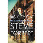 Steve Forbert: Bit City Cat