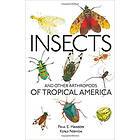 Paul Hanson: Insects and Other Arthropods of Tropical America
