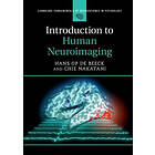 Hans Op de Beeck: Introduction to Human Neuroimaging