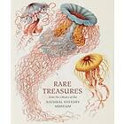 Judith Magee: Rare Treasures