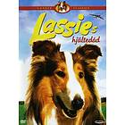 Lassies Hjältedåd (DVD)